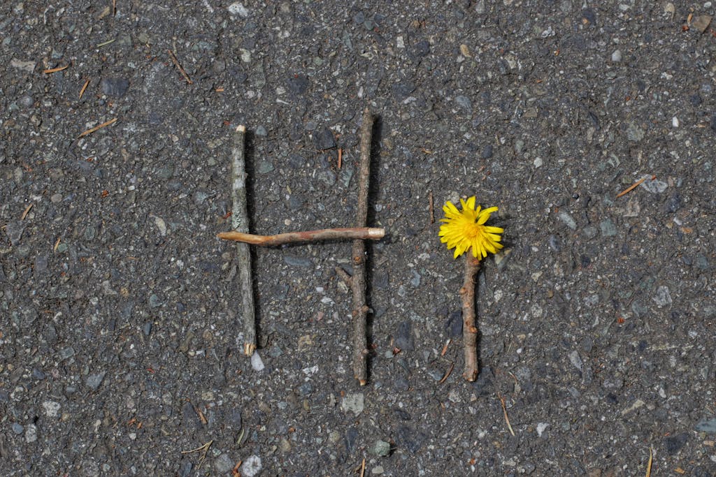 Branches and a Flower Spelling Hi on a Textured Surface